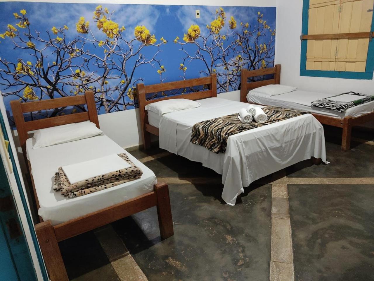 Pousada Colonial Pirenopolis Ngoại thất bức ảnh